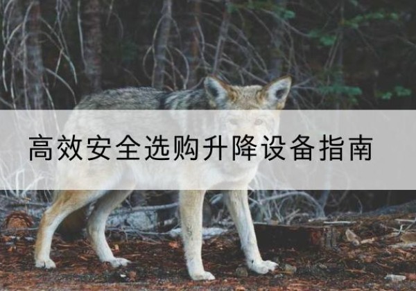 宕昌升降货梯厂家推荐-*安全选购升降设备指南