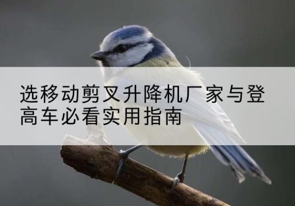宕昌电动升降机厂家-选移动剪叉升降机厂家与登高车必看实用指南