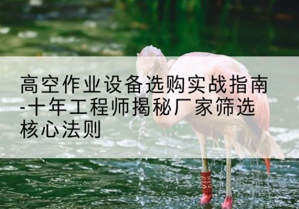 宕昌剪叉式升降机厂家-高空作业设备选购实战指南-十年工程师揭秘厂家筛选核心法则